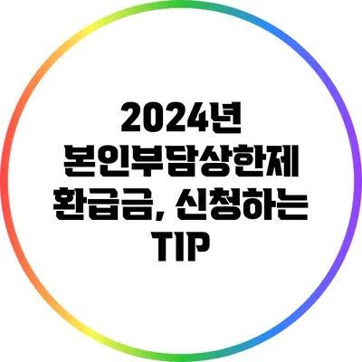 2024년 본인부담상한제 환급금, 신청하는 TIP