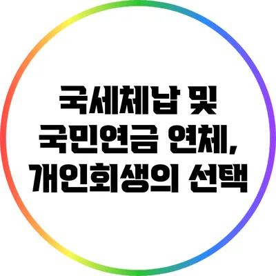 국세체납 및 국민연금 연체, 개인회생의 선택