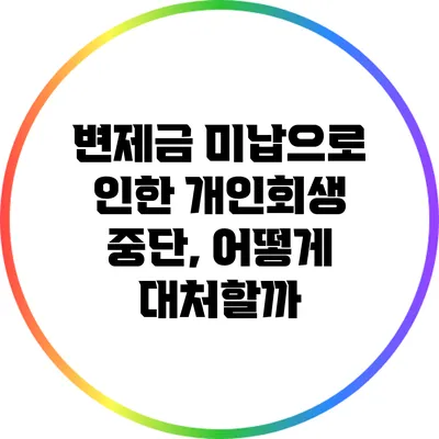 변제금 미납으로 인한 개인회생 중단, 어떻게 대처할까?