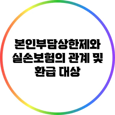 본인부담상한제와 실손보험의 관계 및 환급 대상