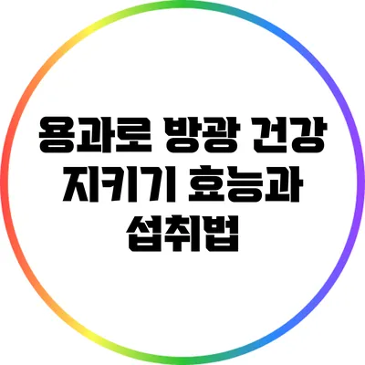 용과로 방광 건강 지키기: 효능과 섭취법