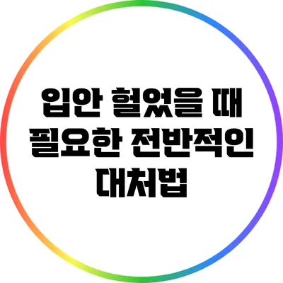 입안 헐었을 때 필요한 전반적인 대처법