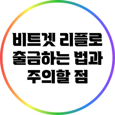 비트겟 리플로 출금하는 법과 주의할 점