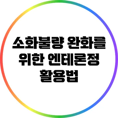 소화불량 완화를 위한 엔테론정 활용법