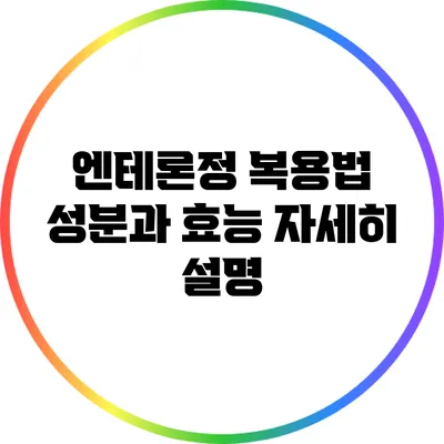 엔테론정 복용법: 성분과 효능 자세히 설명