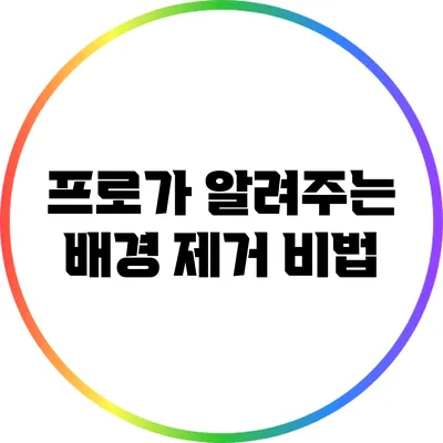 프로가 알려주는 배경 제거 비법