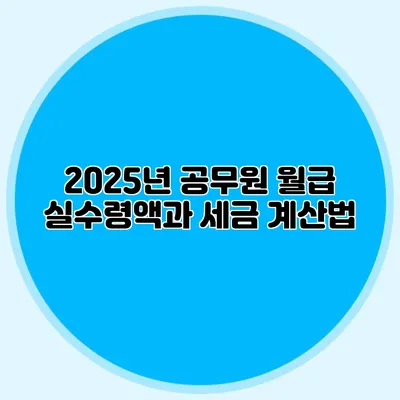 2025년 공무원 월급 실수령액과 세금 계산법