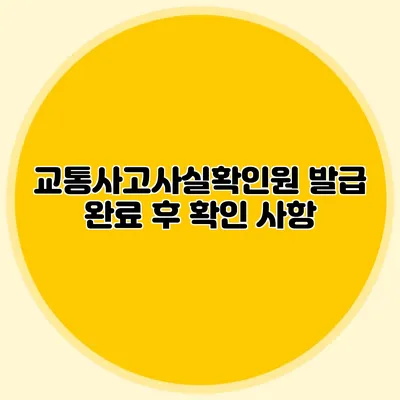교통사고사실확인원 발급 완료 후 확인 사항