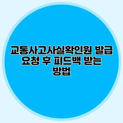 교통사고사실확인원 발급 요청 후 피드백 받는 방법