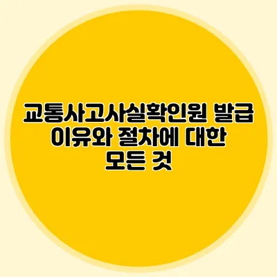 교통사고사실확인원 발급 이유와 절차에 대한 모든 것