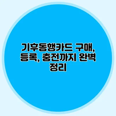 기후동행카드 구매, 등록, 충전까지 완벽 정리