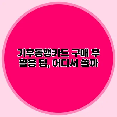 기후동행카드 구매 후 활용 팁, 어디서 쓸까?