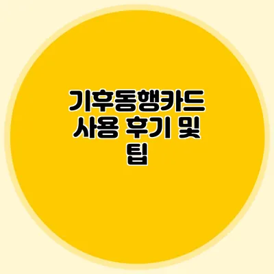 기후동행카드 사용 후기 및 팁