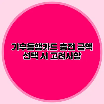 기후동행카드 충전 금액 선택 시 고려사항
