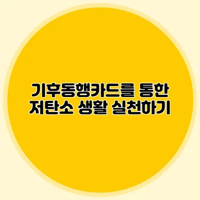 기후동행카드를 통한 저탄소 생활 실천하기