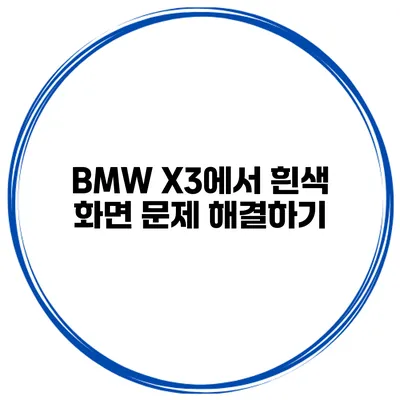 BMW X3에서 흰색 화면 문제 해결하기