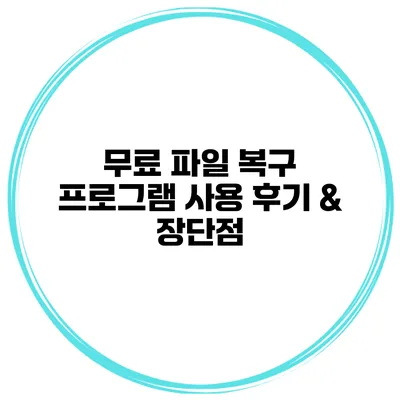 무료 파일 복구 프로그램 사용 후기 & 장단점
