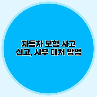 자동차 보험 사고 신고, 사후 대처 방법